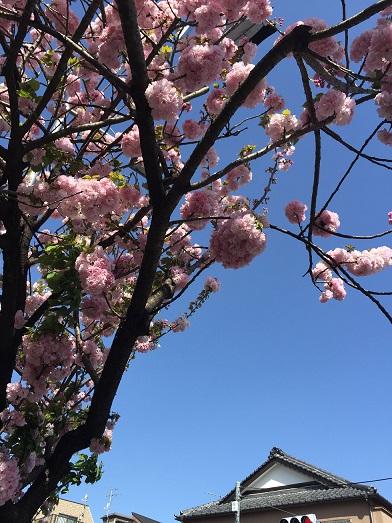 新事業所準備中・・・