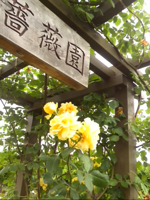 フラワーランド（瀬田農業公園）