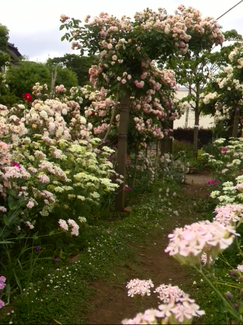 フラワーランド（瀬田農業公園）