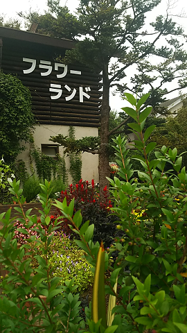 １０月のフラワーランド