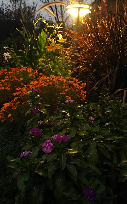 １１月のフラワーランドその２