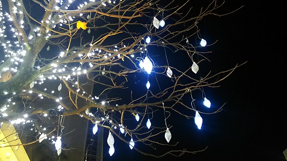 イルミネーション（二子玉川）