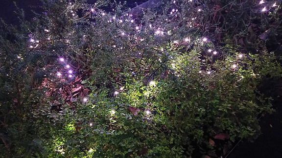 イルミネーション（二子玉川）