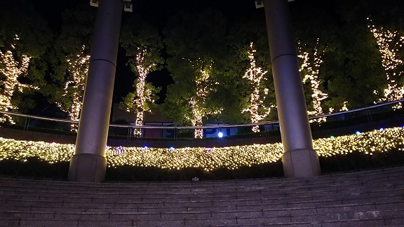 イルミネーション（用賀＆桜新町）