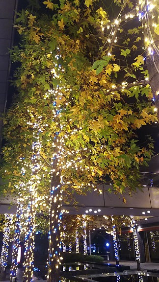 イルミネーション（用賀＆桜新町）