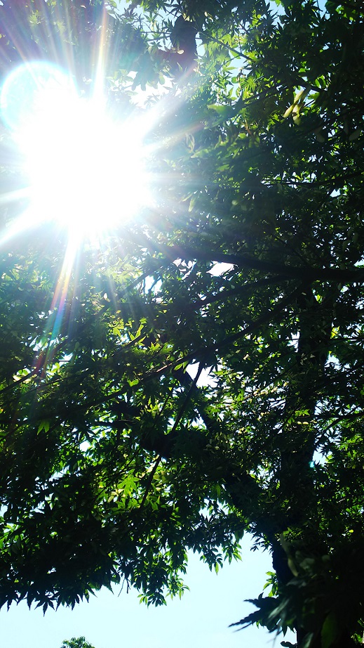 ヘルパー募集中です☆