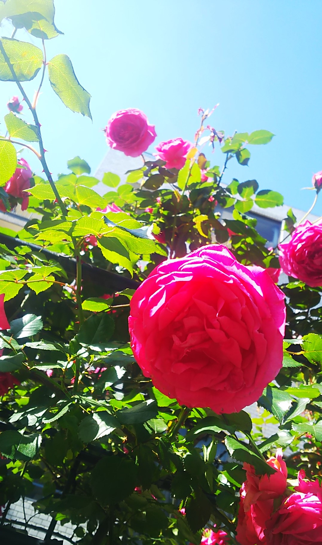 移動中に撮った写真