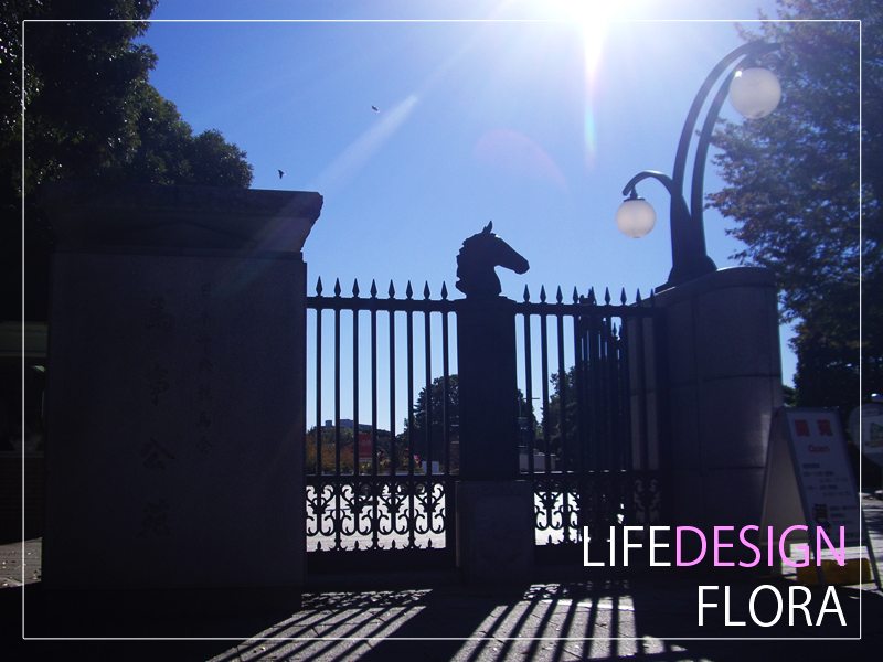 世田谷風景１【馬事公苑】