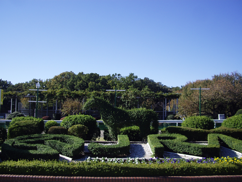 緑豊かな憩いの場