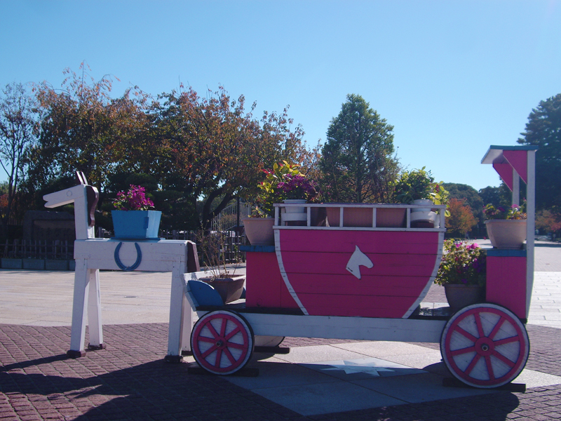 住み慣れた大好きなこの町で