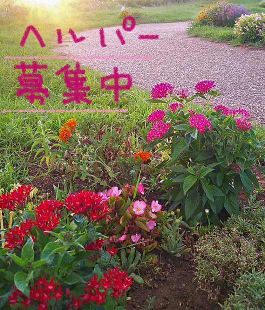 登録ヘルパー募集中【WワークOK】