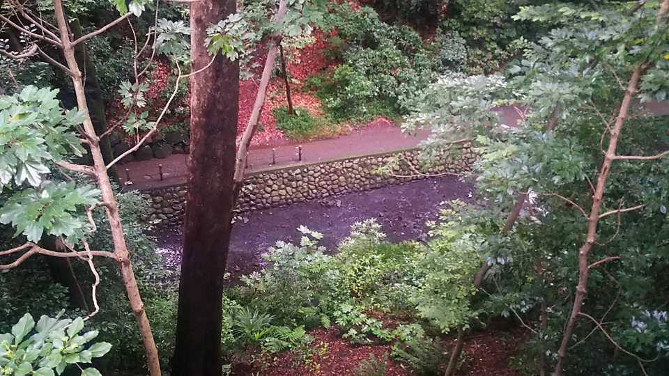 環八の下にダンジョンがあった件