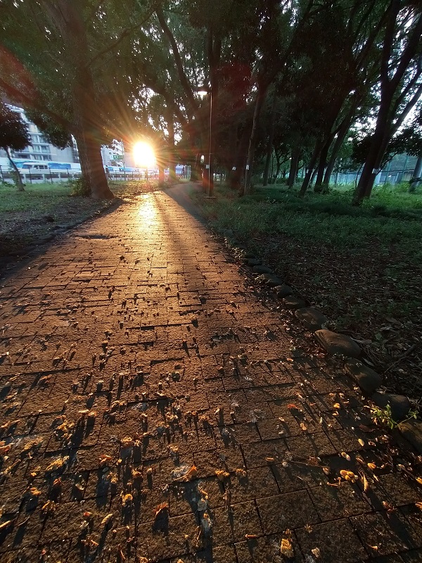 コロナ渦の中で