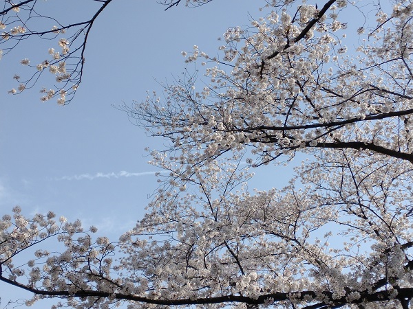 圧力と成長の競争