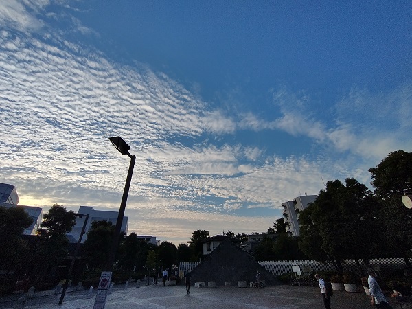 コロナの本当のリスク