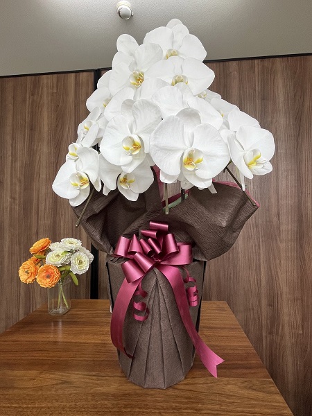 株式会社アール・アソシエイツ様より