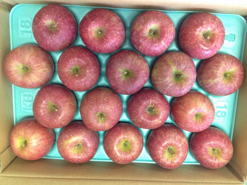 りんごのお土産