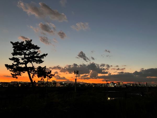 夕暮れ時の写真