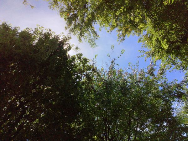 関東地方、梅雨明け！夏本番に突入です