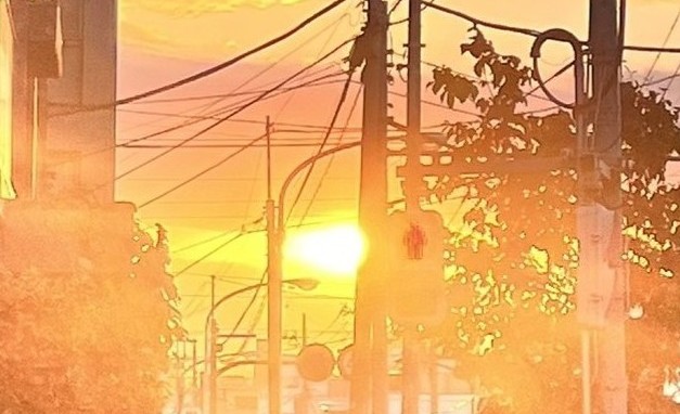 ケアの帰り道に