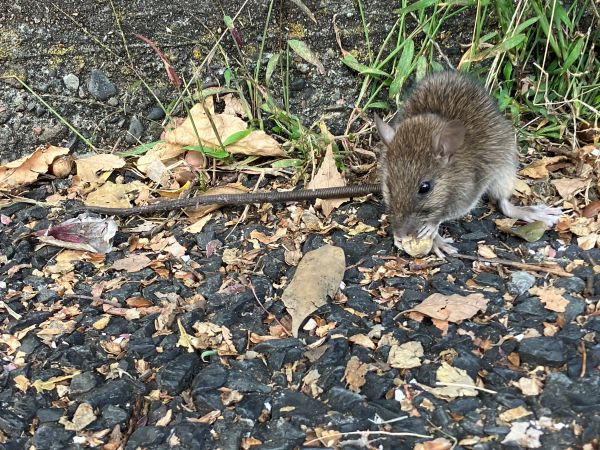 いつも行かない場所へ…