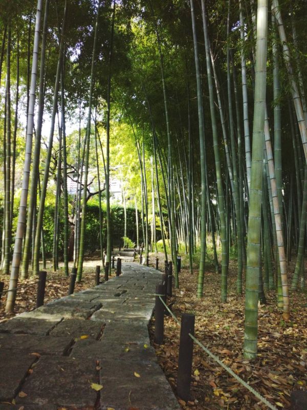 いつも行かない場所へ…