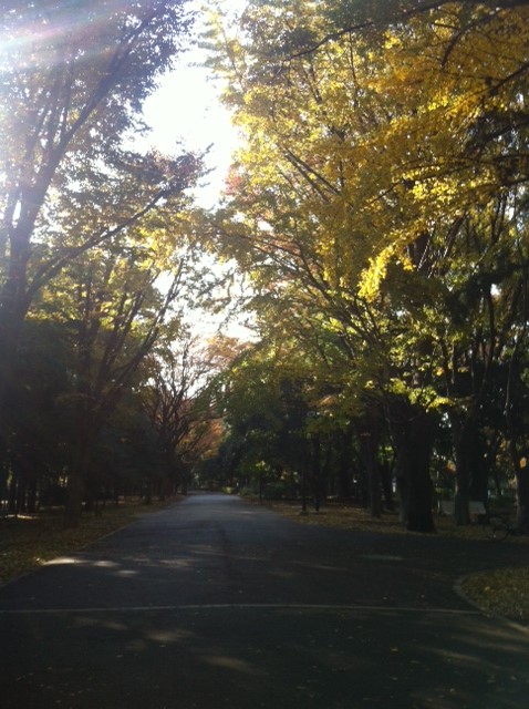 フローラ千歳船橋