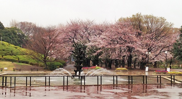 世田谷公園