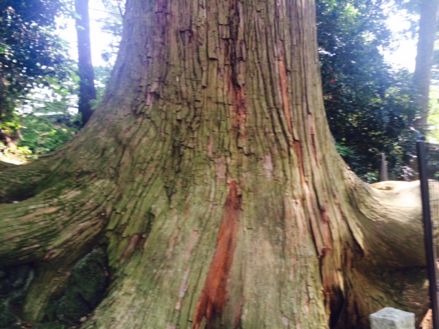 介護人材確保について