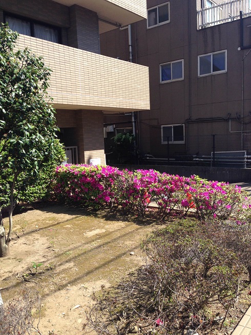 GWも終わり・・・